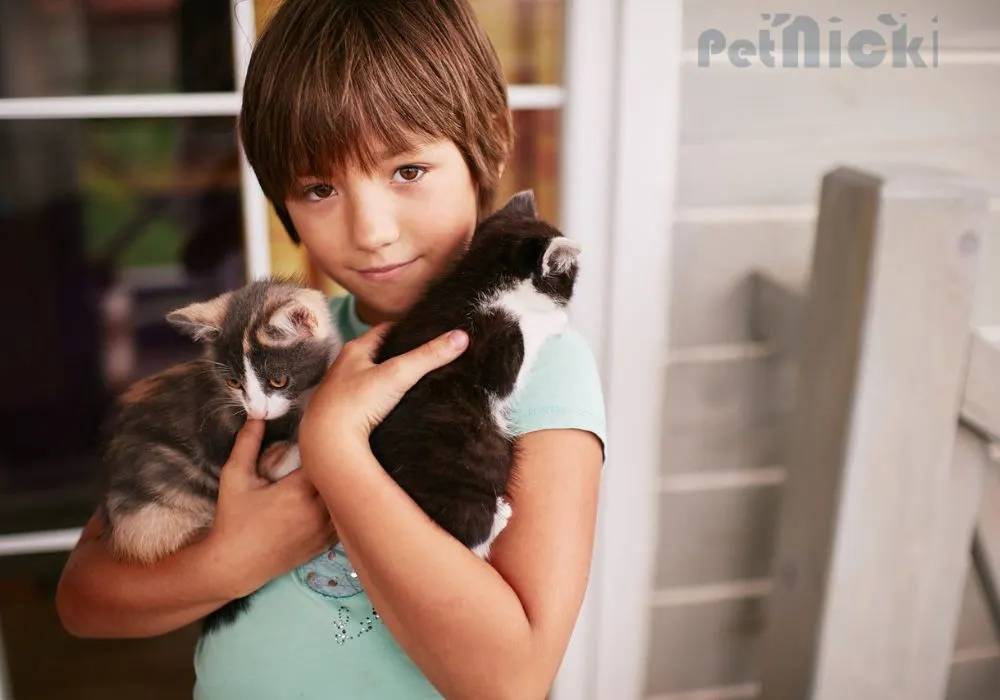 Charming little boy holds two kitties in his arms