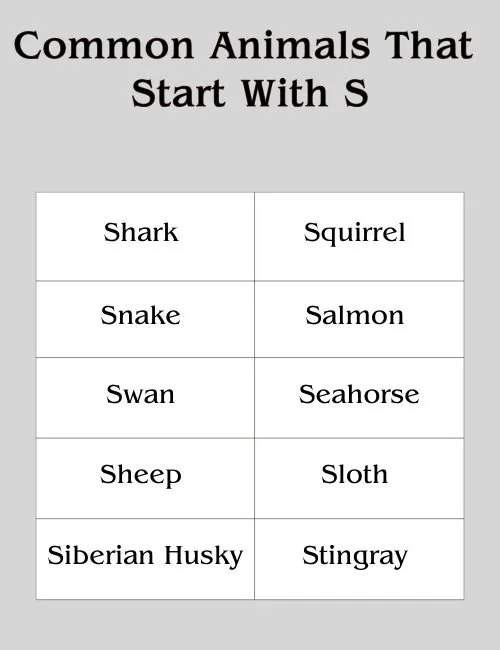 Common Animals That Start With S