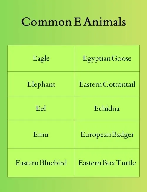 Common E Animals