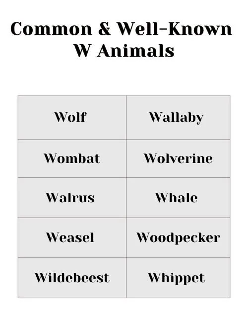 Common & Well-Known W Animals