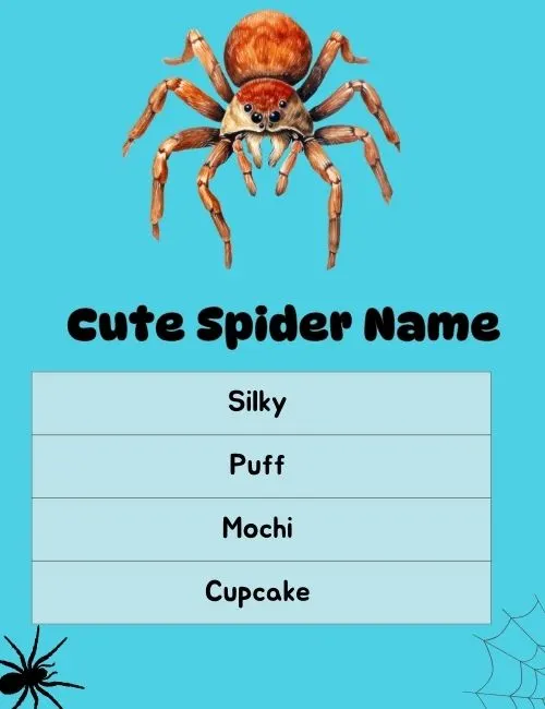 Cute Spider Names
