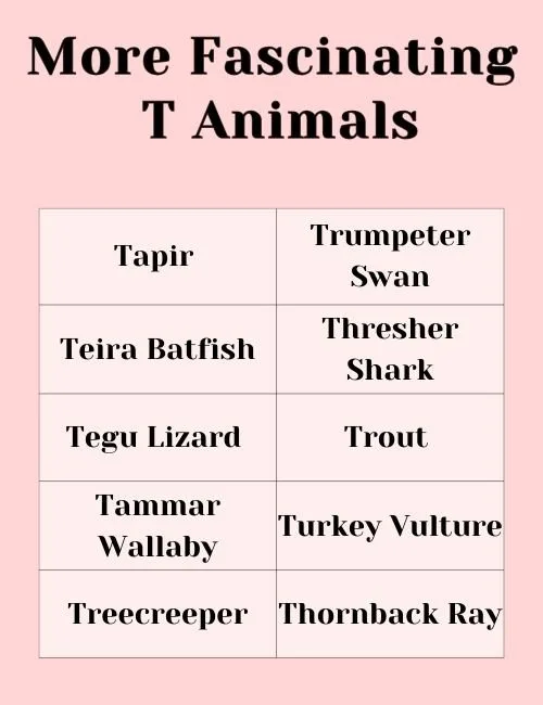 Fascinating T Animals