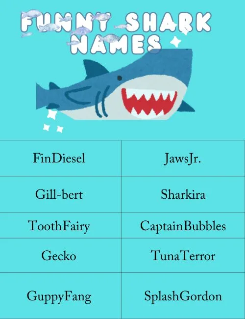 Funny Shark Names