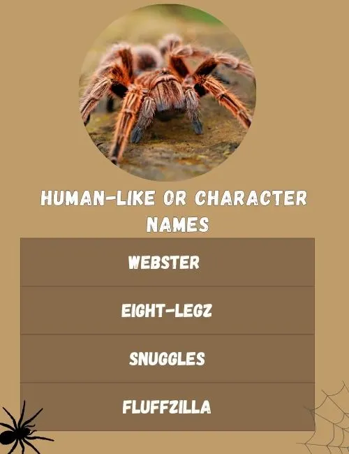 Human-Like or Character Names