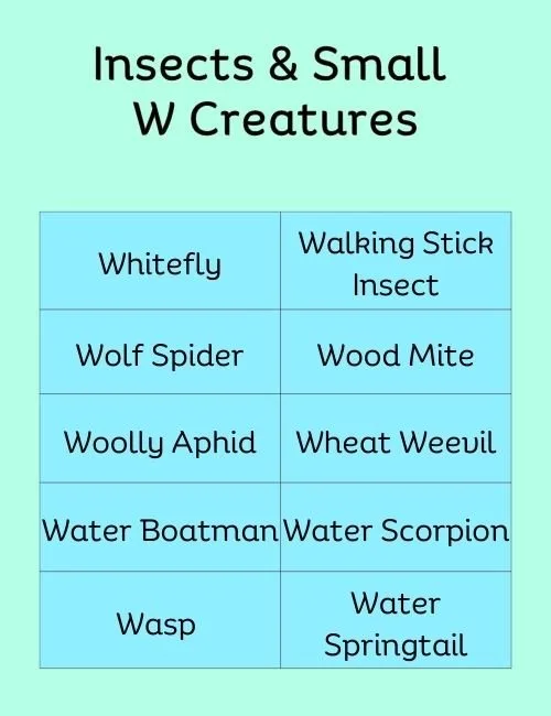 Insects & Small W Creatures