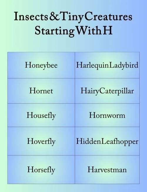 Insects & Tiny Creatures Starting With H