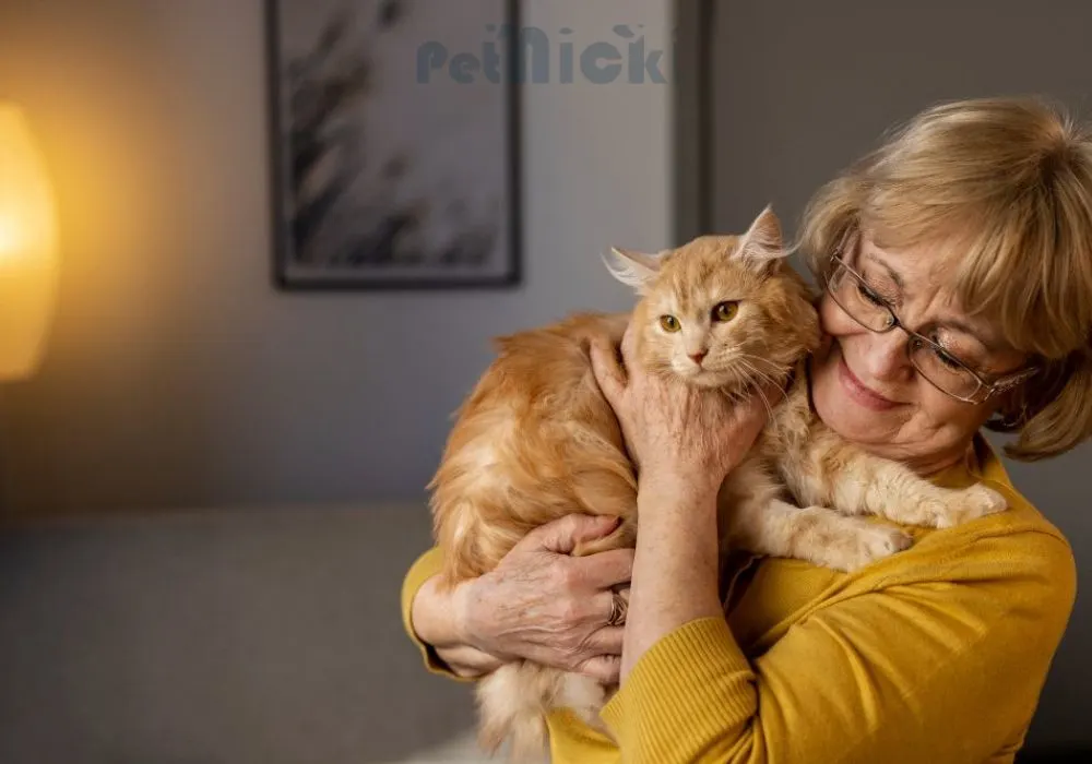 Low-Maintenance Pets for the Elderly