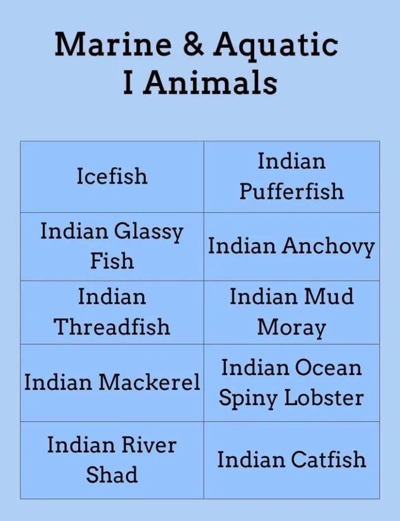 Marine & Aquatic I Animals