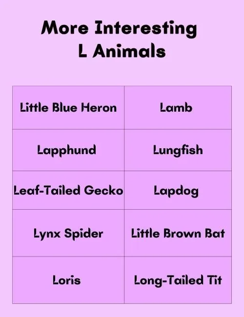 More Interesting L Animals