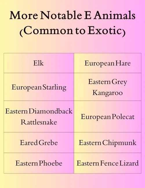 More Notable E Animals (Common to Exotic)