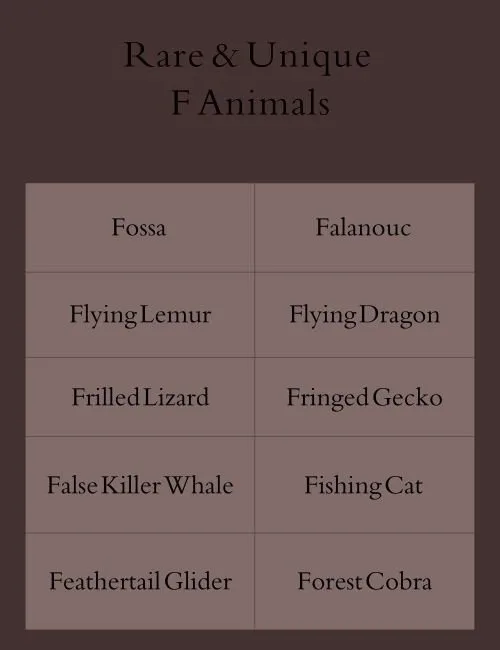 Rare & Unique F Animals