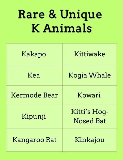 Rare & Unique K Animals
