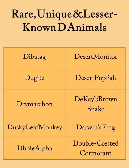 Rare, Unique & Lesser-Known D Animals