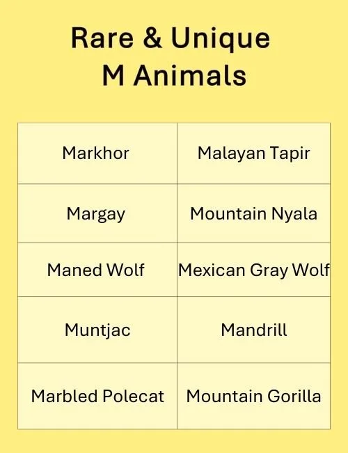 rare and unique animals that start with M list including markhor mountain gorilla and maned wolf