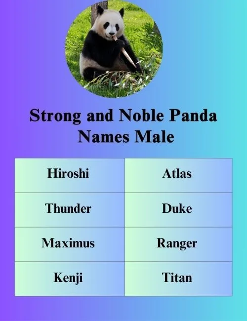 Strong and Noble Panda Names Male: