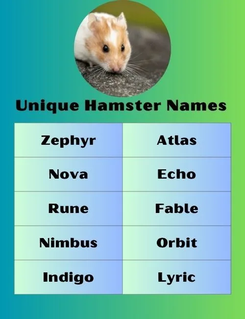 Unique Hamster Names