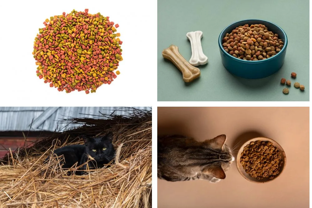 Healthy foods versus toxic foods for pets including dogs, cats, birds, and rabbits