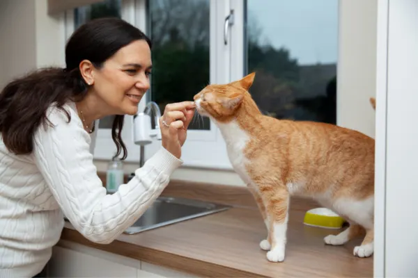 happy cat enjoying massage