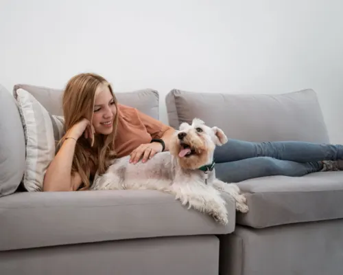 happy dog owner relaxing at home with healthy labrador