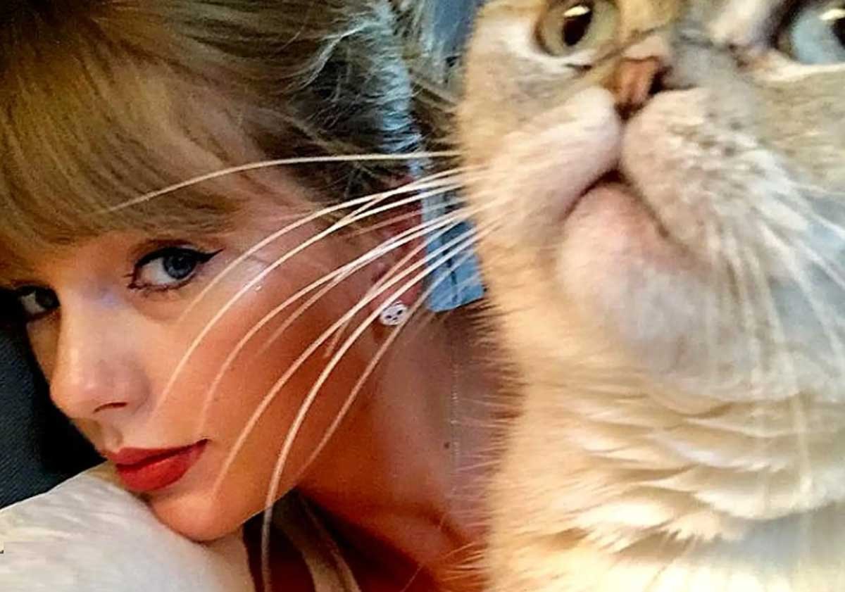 taylor swifts cats names