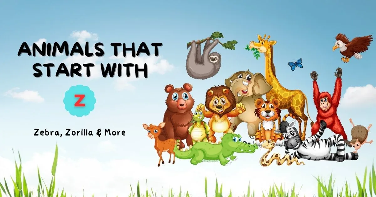 Animals That Start With Z