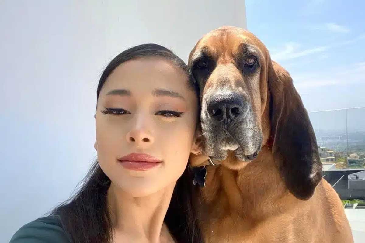 Ariana Grandes Dogs