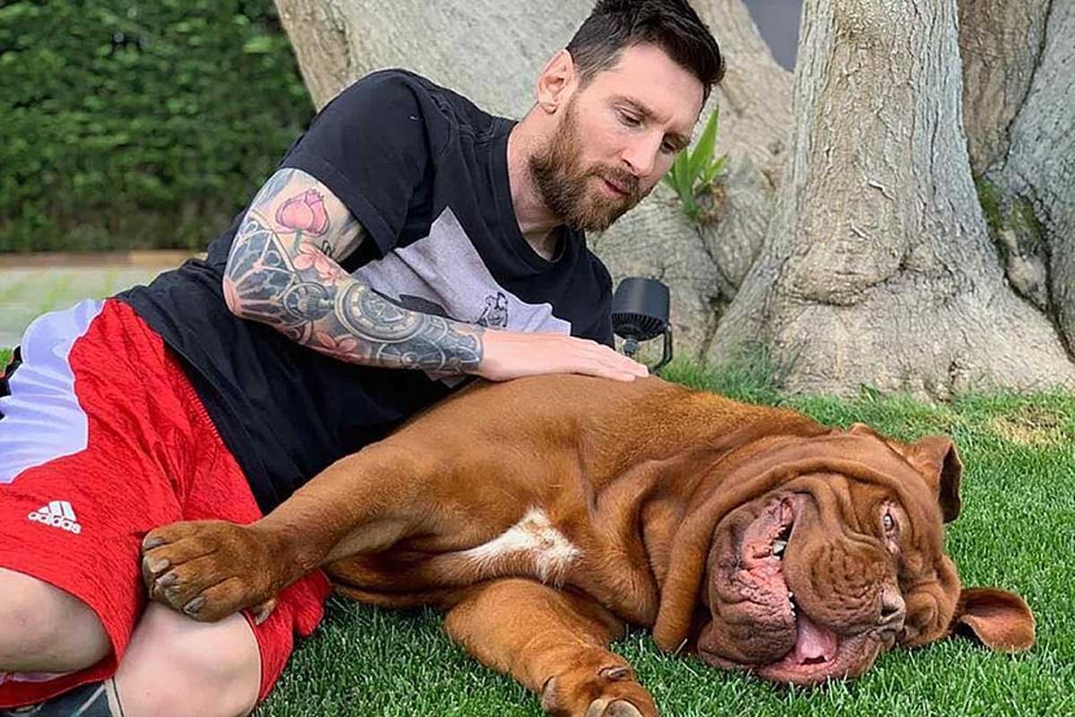 Messi’s Dog Hulk